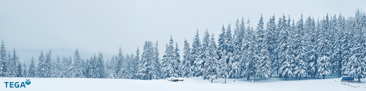 Program de sărbători, 2025